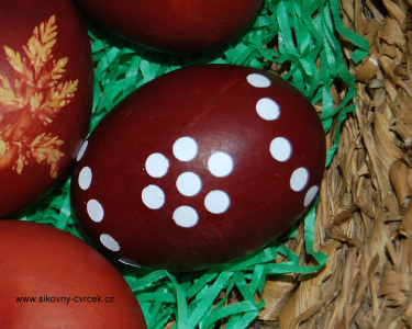 Děrovačková vejce (obr. 3).jpg