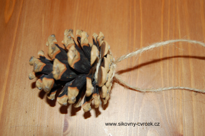Krmítka_lůj_šiška (obr.2).jpg