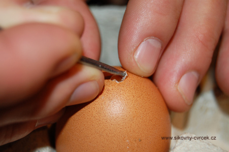 Čokoládová vejce (obr. 2).jpg