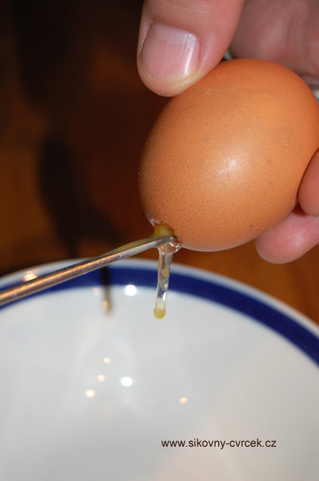 Čokoládová vejce (obr. 4).jpg