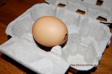 Čokoládová vejce (obr. 8).jpg